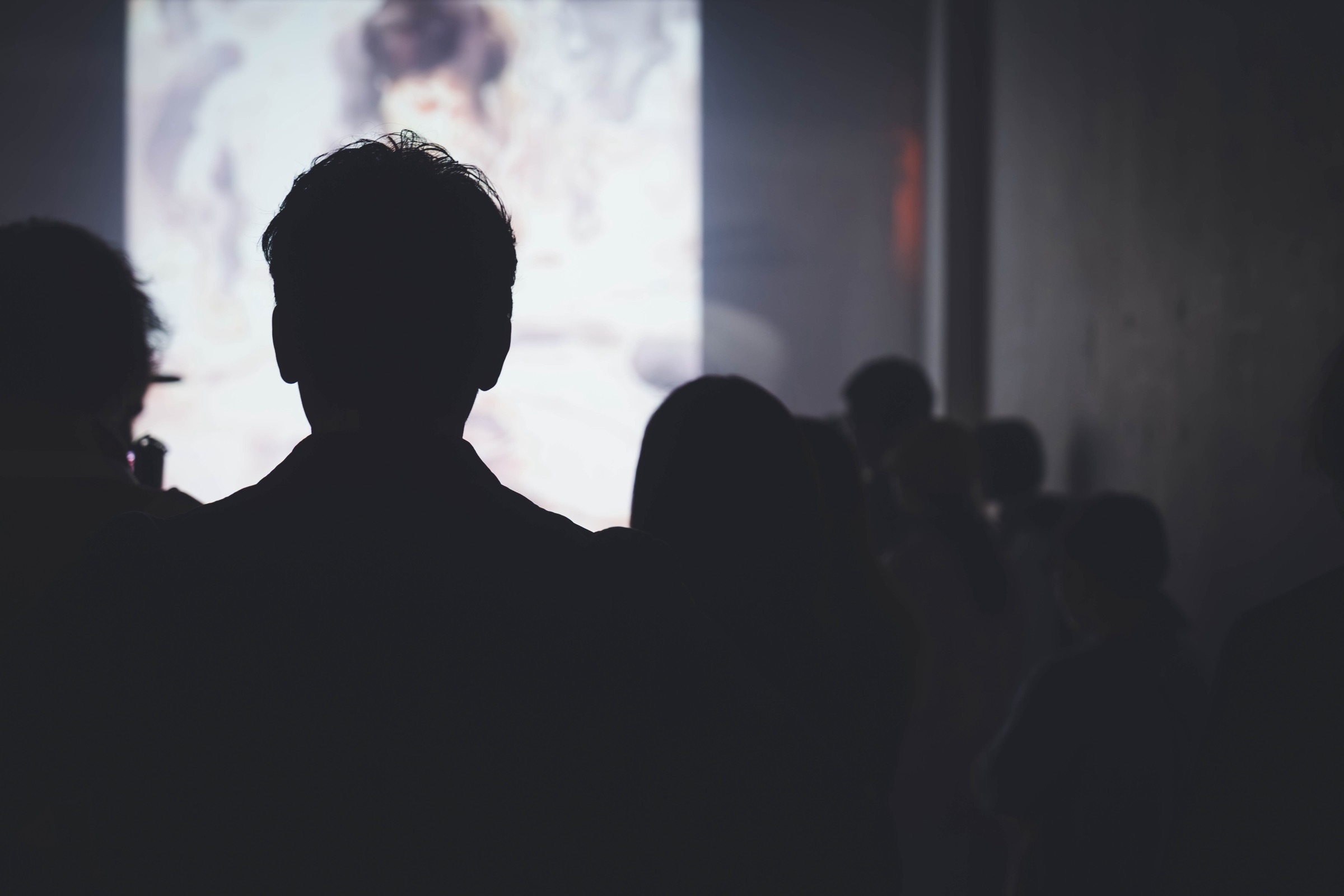 Distant Echo — Audience